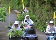 日本山村老人“靠山吃山” 别样方法应对老龄化