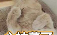 
            
老人留下录音遗嘱，一套房子给孙子，为何法院判为无效？
          