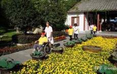 10年照顾老人的真实体验