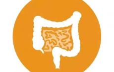 中老年人必须跨过的5个寿命坎，现在知道还不晚