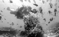 气候变化正在影响人类健康