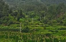 【每日签到】20200709