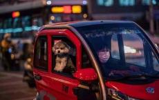 步步惊心！老年代步车“灰色地带”该管管了