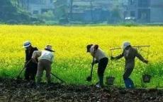 【深度】中国最大的危机并不在房地产，而是走向死亡农村