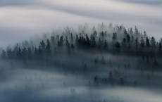 【每日签到】20180825