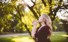 当你老了（看哭很多人）