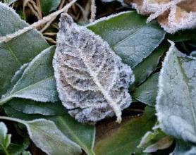 霜降后老年人记得“5吃4不做”，顺应季节而食，平安度过秋天