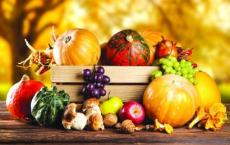 让夏热与秋凉“接轨”，秋季养生你要注意这几点