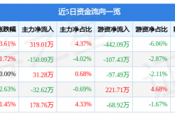 长江健康10月13日主力资金净买入319.01万元