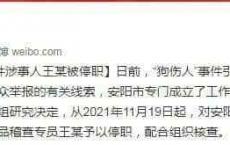 河南安阳“狗伤人”事件涉事人王新刚被停职！