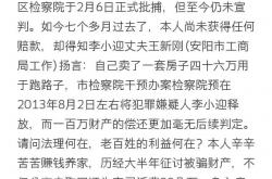 怎么看待安阳节度使王新刚？