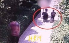 安阳“狗咬老人”事件再起波澜：牵狗女子被指诈骗百万，称“有关系”能捞出涉案人员，收钱后失联