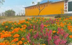 “原居养老”升级为“互助养老”，“农村版”综合为老服务中心来了！