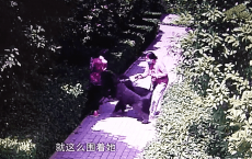 安阳王某刚火了！其妻李某迎曾因借贷被法院查封名下三套房产