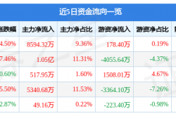 美年健康11月14日主力资金净买入8594.32万元