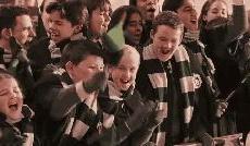 【HP官设】Pottermore：HP中的28个纯血家族