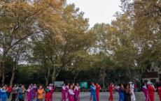 你大妈不再是你大妈了：广场舞App刷屏，中老年版“抖音”融资过亿