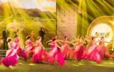 老年文体特色团队_市老年大学艺术团