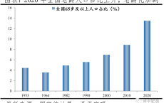 中国人口形势报告_老龄化、少子化、不婚化、城市群化