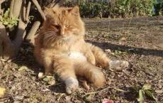 人到中年，都是为了什么活着？