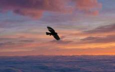 人到中年,千万别“心穷”(点透人生)