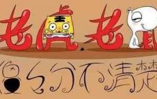 老人应该买什么保险？