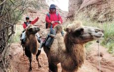 “银发族”旅游既要满足需要更要注重安全