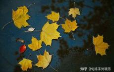 中年人的“孤独”与“独而不孤”