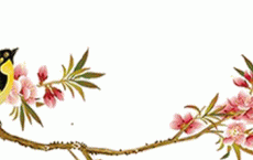 小鹂开播_元旦的来历和演变史