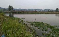 对话｜新化骗保案办案民警：涉案人欠十多万网贷，未查出炒股