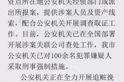 爱福家实控人被押解回国：向中老年人集资百亿