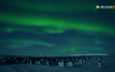 【每日签到】20181221