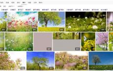 【每日签到】20190305