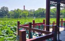 如何积极的完成老年化