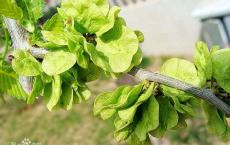 【每日签到】20190403