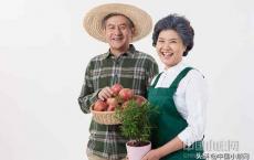 银发经济崛起！这届“银发族”都在玩什么