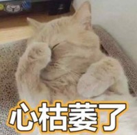 
            
老人留下录音遗嘱，一套房子给孙子，为何法院判为无效？
          