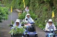 日本山村老人“靠山吃山” 别样方法应对老龄化