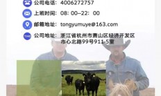 新骗局！黔西南一男子和朋友“网上养牛”被诈骗40万