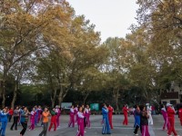 你大妈不再是你大妈了：广场舞App刷屏，中老年版“抖音”融资过亿