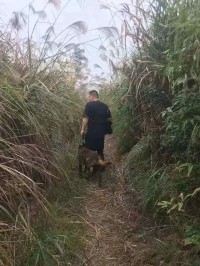 六旬老人离家后，消失在柳州环江村一带！警方出动警犬无人机搜寻