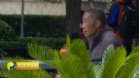 他们专盯老人下手！12天，21岁女孩诈骗300多万元