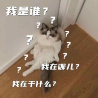 人老了忘性大？警惕老年人健康的隐形杀手阿尔兹海默症