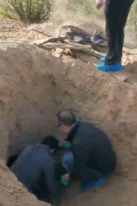 他让她死，她让他生