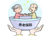 个人怎么交养老保险?