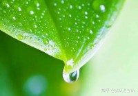 老中医给的100条养生建议（强烈推荐！）