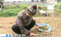 日本老年犯罪严重：有人故意偷东西为去监狱养老