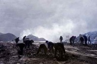 网易人间《记事》——2021年二月特辑