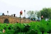 你的老年生活快不快乐,完全取决于这件事！启发百万老人