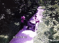 安阳王某刚火了!其妻李某迎曾因借贷被法院查封名下三套房产